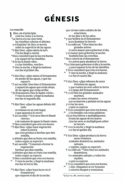 BIBLIA PARA REGALOS Y PREMIOS NVI - Image 5