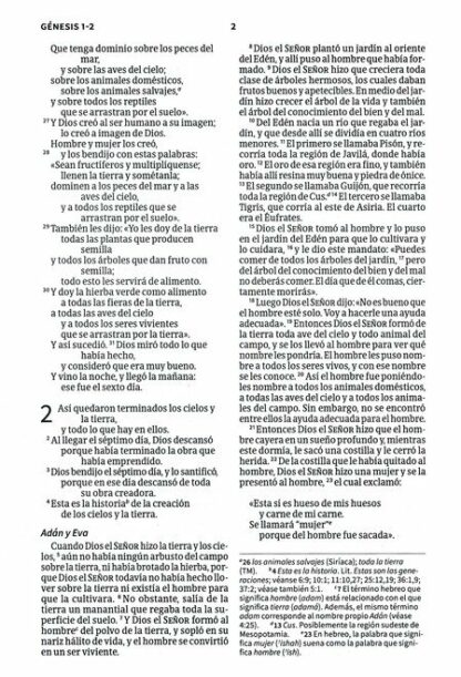 BIBLIA PARA REGALOS Y PREMIOS NVI - Image 4