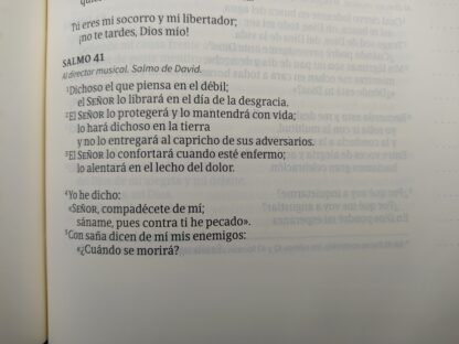 BIBLIA DE APUNTES NVI LETRA GRANDE TD - Image 3