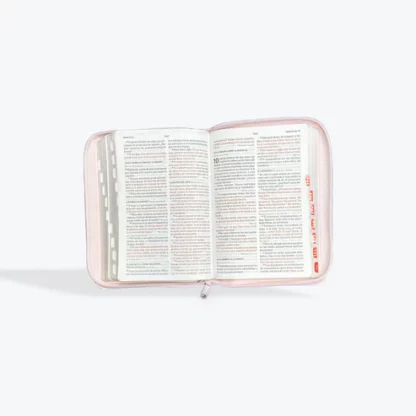 BIBLIA RV1960 LETRA GRANDE - Image 6