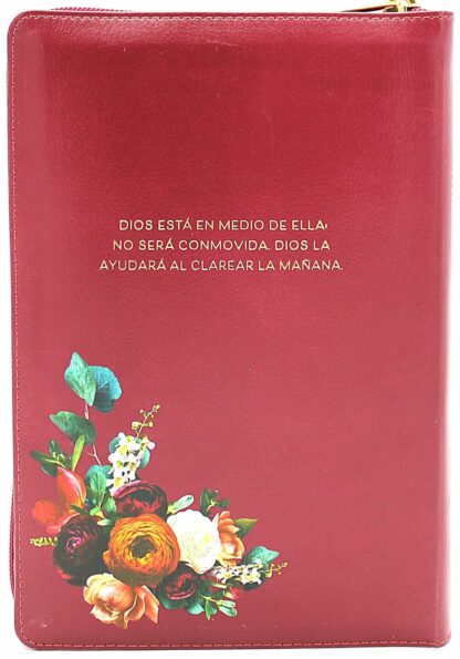 BIBLIA RV1960 LETRA GIGANTE - Image 7