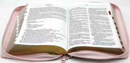 BIBLIA RV1960 LETRA GRANDE - Image 4