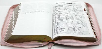 BIBLIA RV1960 LETRA GRANDE - Image 2