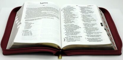 BIBLIA RV1960 LETRA GIGANTE - Image 4