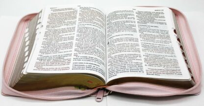 BIBLIA RV1960 LETRA GRANDE - Image 3