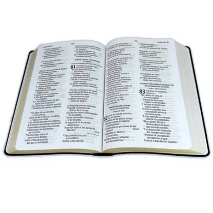 BIBLIA RV1960 LETRA GRANDE ROSA - Image 3