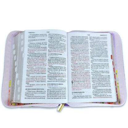 BIBLIA RV1960 LETRA GIGANTE - Image 5